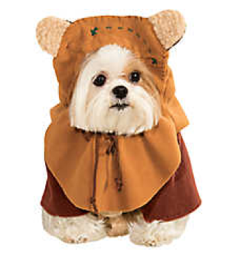 Ewok Hallowen Costume