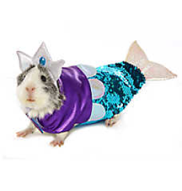 Mermaid Costume