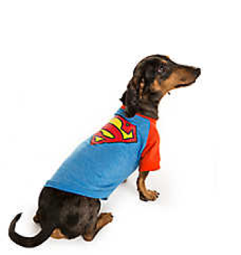 Superman Costume